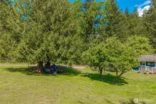 32816 82nd Ave S, Roy, WA 98580 - Photo 29