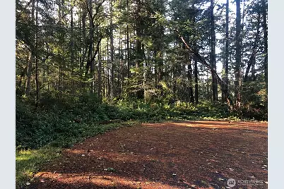 9501 116th Avenue Ct, Anderson Island, WA 98303 - Photo 1