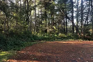 9501 116th Ave Ct, Anderson Island, WA 98303 - Photo 1