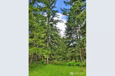 213 Sommerville Road, Chehalis, WA 98532 - Photo 29
