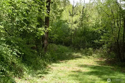 236 Gray Road, Toledo, WA 98591 - Photo 37