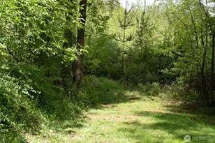 236 Gray Rd, Toledo, WA 98591 - Photo 37