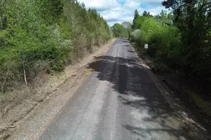236 Gray Rd, Toledo, WA 98591 - Photo 39