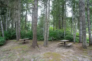 11427 148th Ave NW, Gig Harbor, WA 98329 - Photo 31