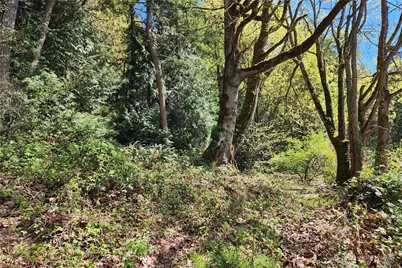 0 E Lake Sammamish Parkway NE, Sammamish, WA 98074 - Photo 11