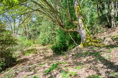 0 E Lake Sammamish Parkway NE, Sammamish, WA 98074 - Photo 9