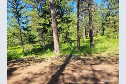 27 Summit View At Wallace Ranch, Cle Elum, WA 98922 - Photo 9