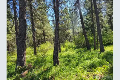 10 Summit View At Wallace Ranch, Cle Elum, WA 98922 - Photo 7