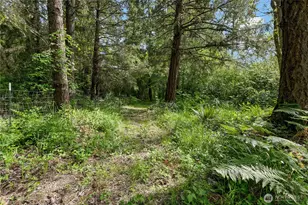 33109 78th Ave S, Roy, WA 98580 - Photo 35