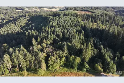 0 NE Finalburg Road, La Center, WA 98629 - Photo 29