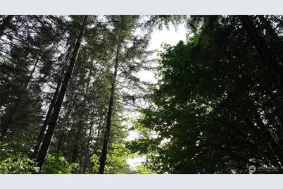 0 NE Finalburg Road, La Center, WA 98629 - Photo 15