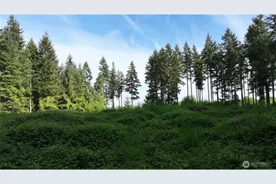 0 NE Finalburg Road, La Center, WA 98629 - Photo 9