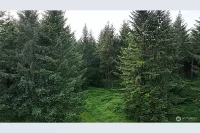 0 NE Finalburg Road, La Center, WA 98629 - Photo 27