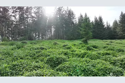 0 NE Finalburg Road, La Center, WA 98629 - Photo 19