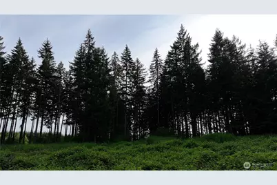 0 NE Finalburg Road, La Center, WA 98629 - Photo 21