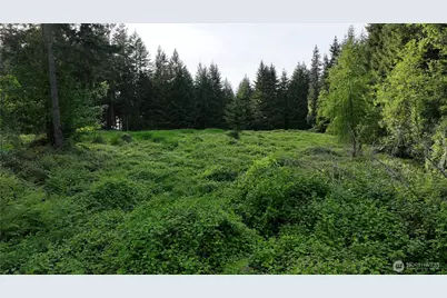 0 NE Finalburg Road, La Center, WA 98629 - Photo 17