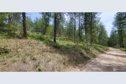 6 Lot Okanogan River Ranches Div 1, Tonasket, WA 98855 - Photo 3