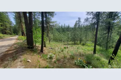 6 Lot Okanogan River Ranches Div 1, Tonasket, WA 98855 - Photo 7