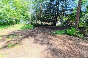 50 Dogwood Ln, Brinnon, WA 98320 - Photo 3