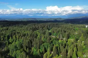 19809 78th Ave SE, Snohomish, WA 98296 - Photo 27