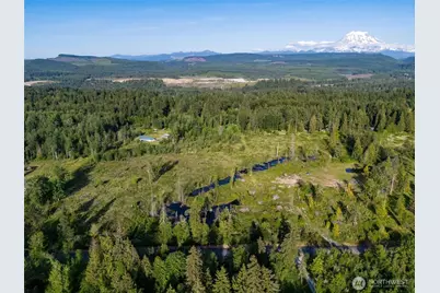 25867 150th Avenue E, Graham, WA 98338 - Photo 13