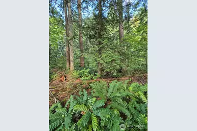 0 Lot Bb SE 159th Street, North Bend, WA 98045 - Photo 9