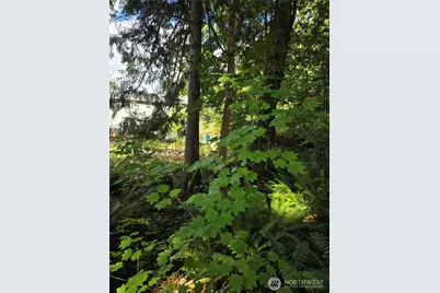 0 Lot Bb SE 159th Street, North Bend, WA 98045 - Photo 7