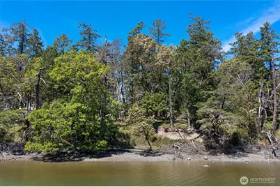 0 De Haro Lane, Friday Harbor, WA 98250 - Photo 39