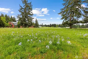 8011 188th Ave SW, Rochester, WA 98579 - Photo 39