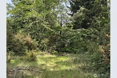 27312 W Street, Ocean Park, WA 98640 - Photo 5