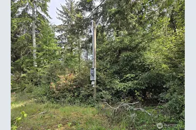 27312 W Street, Ocean Park, WA 98640 - Photo 3