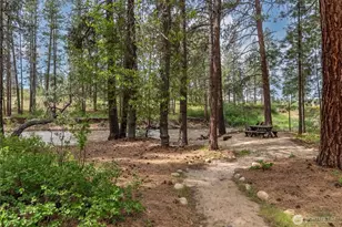 19 Maughan Rd, Winthrop, WA 98862 - Photo 5