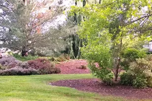 508 Darby Dr, Bellingham, WA 98226 - Photo 3