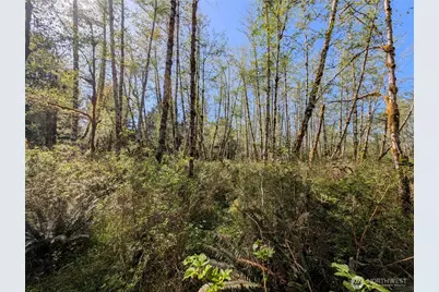 999 Hoh River Park Drive, Forks, WA 98331 - Photo 19