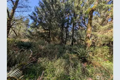 999 Hoh River Park Drive, Forks, WA 98331 - Photo 37