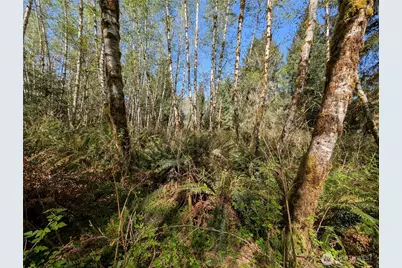 999 Hoh River Park Drive, Forks, WA 98331 - Photo 9