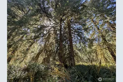 999 Hoh River Park Drive, Forks, WA 98331 - Photo 15