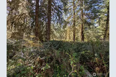 999 Hoh River Park Drive, Forks, WA 98331 - Photo 13