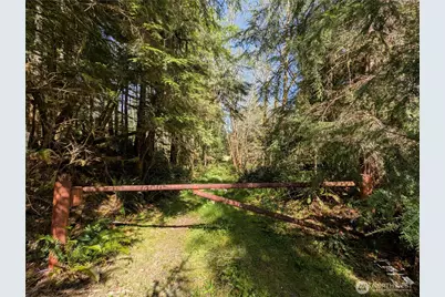 999 Hoh River Park Drive, Forks, WA 98331 - Photo 3