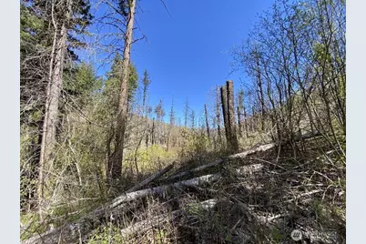 123 Tbd Buzzard Lake Road, Okanogan, WA 98840 - Photo 7