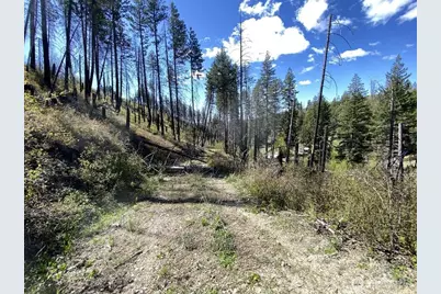 123 Tbd Buzzard Lake Road, Okanogan, WA 98840 - Photo 13