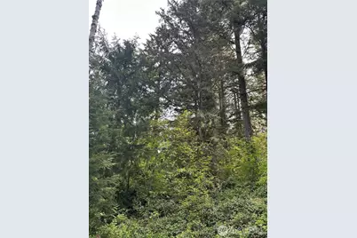0 348th Avenue SE, Snoqualmie, WA 98065 - Photo 5