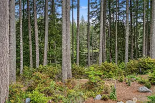 7364 Ashridge Ave SW, Port Orchard, WA 98367 - Photo 37