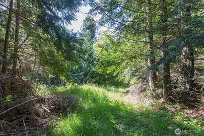 9999 Quiet Waters Lane, Sequim, WA 98382 - Photo 29