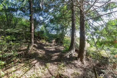 9999 Quiet Waters Lane, Sequim, WA 98382 - Photo 31