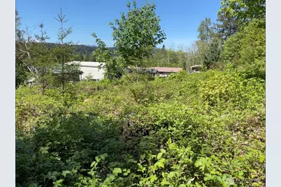 0 Lot State Route 3, Belfair, WA 98528 - Photo 1