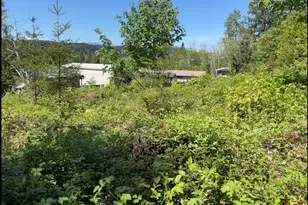0 Lot State Route 3, Belfair, WA 98528 - Photo 1