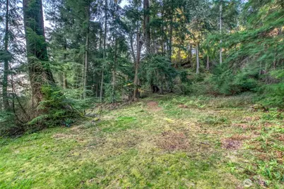 0 Lot 27 Georgia Strait Lane, Orcas Island, WA 98279 - Photo 21