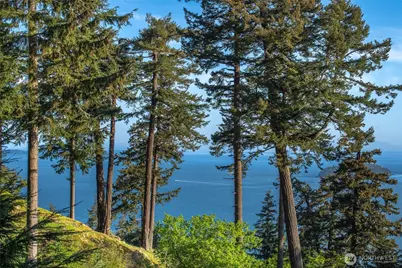 0 Lot 27 Georgia Strait Lane, Orcas Island, WA 98279 - Photo 9