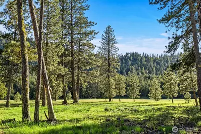 20 Domerie Park Loop, Cle Elum, WA 98922 - Photo 7